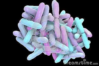 Bacteria Bifidobacterium, normal flora of human intestine Cartoon Illustration