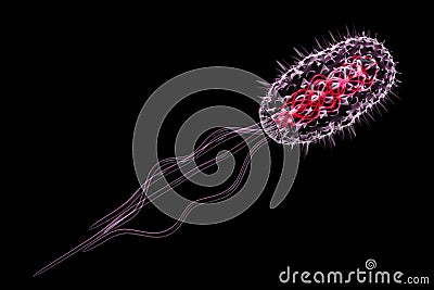 Bacteria cell Cartoon Illustration