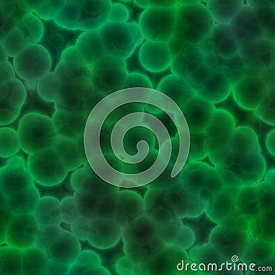 Bacteria Cell Stock Photo