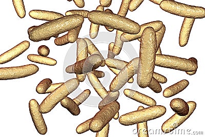 Bacteria Citrobacter, Gram-negative coliform bacteria in the family Enterobacteriaceae Cartoon Illustration