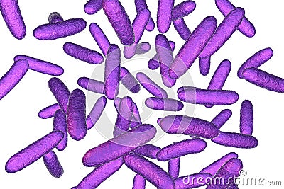 Bacteria Citrobacter, Gram-negative coliform bacteria in the family Enterobacteriaceae Cartoon Illustration