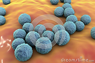 Bacteria Enterococcus, illustration Cartoon Illustration