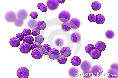 Bacteria Enterococcus, illustration Cartoon Illustration