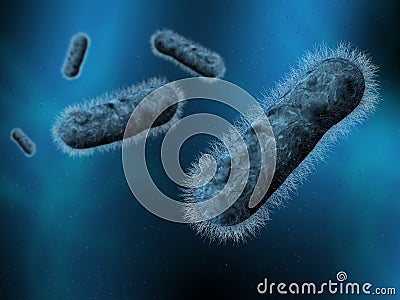 Bacteria Stock Photo