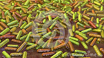 Bacteria, human microbiome Cartoon Illustration