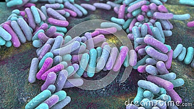 Bacteria, human microbiome Cartoon Illustration