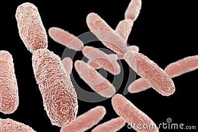 Bacteria Klebsiella, illustration Cartoon Illustration