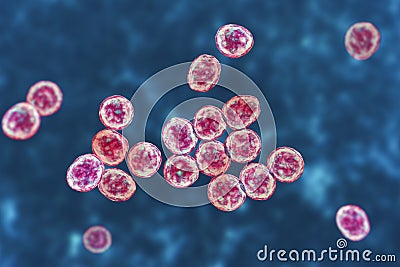 Bacteria methicillin-resistant Staphylococcus aureus MRSA Cartoon Illustration