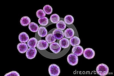 Bacteria methicillin-resistant Staphylococcus aureus MRSA Cartoon Illustration