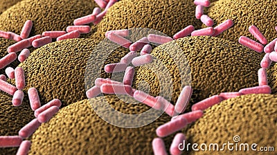 Bacteria on the microvilli surface of digestive system Cartoon Illustration