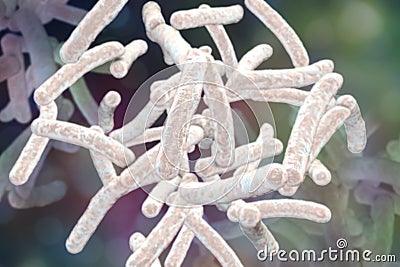 Bacteria Mycobacterium tuberculosis Cartoon Illustration