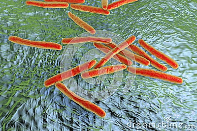 Bacteria Mycobacterium tuberculosis Cartoon Illustration