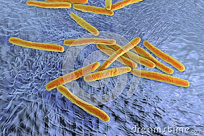 Bacteria Mycobacterium tuberculosis Cartoon Illustration