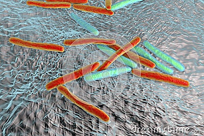 Bacteria Mycobacterium tuberculosis Cartoon Illustration