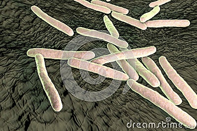 Bacteria Mycobacterium tuberculosis Cartoon Illustration