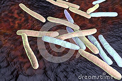 Bacteria Mycobacterium tuberculosis Cartoon Illustration