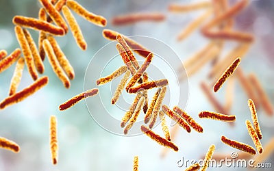 Bacteria Mycobacterium tuberculosis Cartoon Illustration