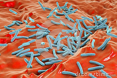 Bacteria Mycobacterium tuberculosis Cartoon Illustration