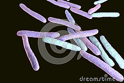 Bacteria Mycobacterium tuberculosis Cartoon Illustration