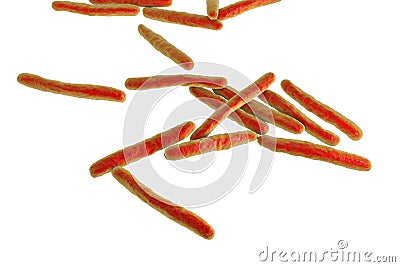 Bacteria Mycobacterium tuberculosis Cartoon Illustration