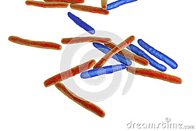 Bacteria Mycobacterium tuberculosis Cartoon Illustration