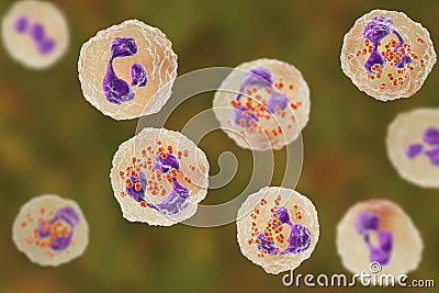 Bacteria Neisseria gonorrhoeae inside phagocytes Cartoon Illustration