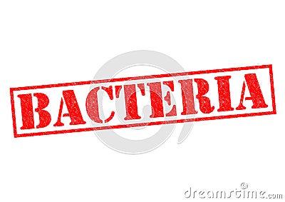 BACTERIA Stock Photo