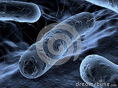 Bacteria seen under a scanning microscope Stock Photo