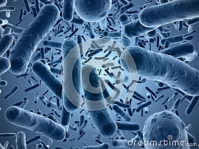 Bacteria seen under a scanning microscope Stock Photo