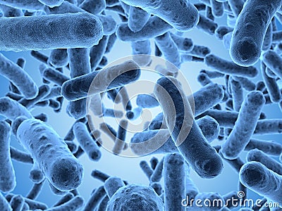 Bacteria seen under a scanning microscope Stock Photo