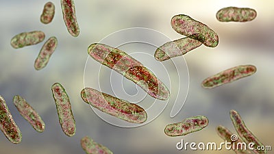 Bacteria Sphingomonas, 3D illustration Cartoon Illustration