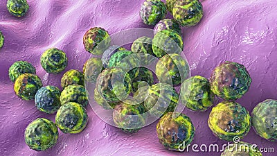 Bacteria Staphylococcus aureus Cartoon Illustration