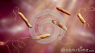 Bacteria Stenotrophomonas maltophilia Cartoon Illustration