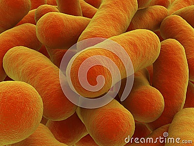 Bacteria strain Stock Photo