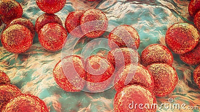 Bacteria Streptococcus pneumoniae Cartoon Illustration