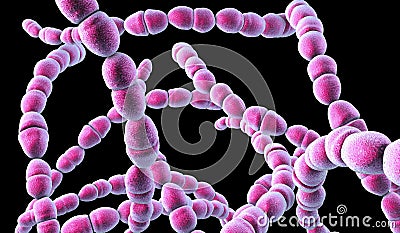 Bacteria Streptococcus thermophilus Cartoon Illustration