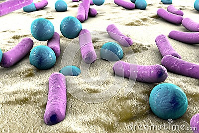 Bacteria on surface of skin, mucous membrane or intestine Cartoon Illustration