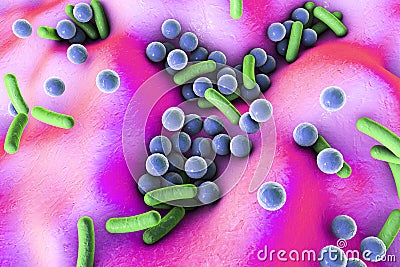 Bacteria on surface of skin, mucous membrane or intestine Cartoon Illustration