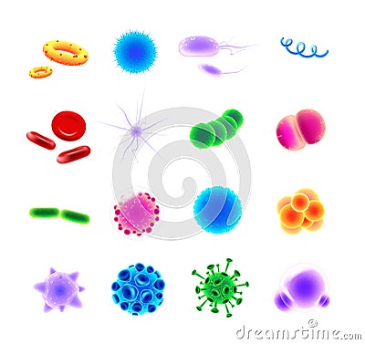 Bacteria types realistic vector icons set Vector Illustration