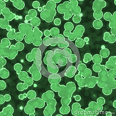 Bacteria under microscope Stock Photo