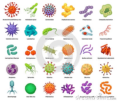 Bacteria and virus icons. Disease-causing bacterias, viruses and microbes. Color germs, bacterium types vector Vector Illustration