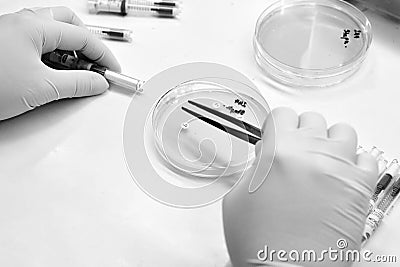 bacterial culture and drug resistance of pathogens in laborator Stock Photo