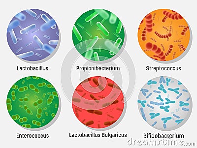 Bacterial flora in circle set, vector isolated illustration Vector Illustration