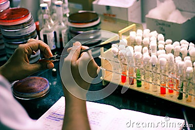 Bacterial Inoculation on a test tube agar culture media using inoculation loop by scientist lab technician in a microbiology labor Stock Photo