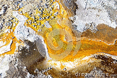 Bacterial mats from thermophilic organisms, Yellowstone National Park, Wyoming Stock Photo
