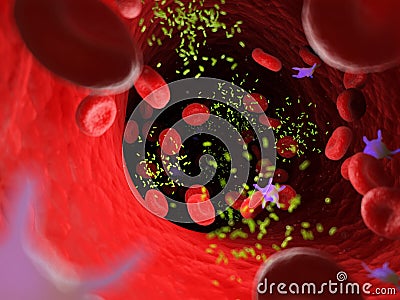 Bacterias in an artery Cartoon Illustration