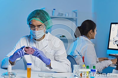 Bacteriologist at work Stock Photo