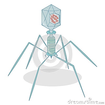 Bacteriophage Isolated on White background Vector Illustration