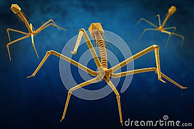 Bacteriophage or phage virus attacking and infecting a bacteria Cartoon Illustration