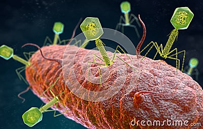 Bacteriophage virus attacking a bacterium Cartoon Illustration